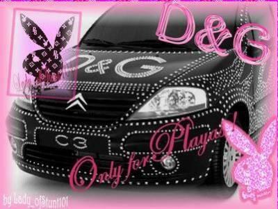 DG.