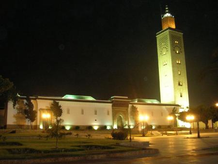 Mosquer assounna.